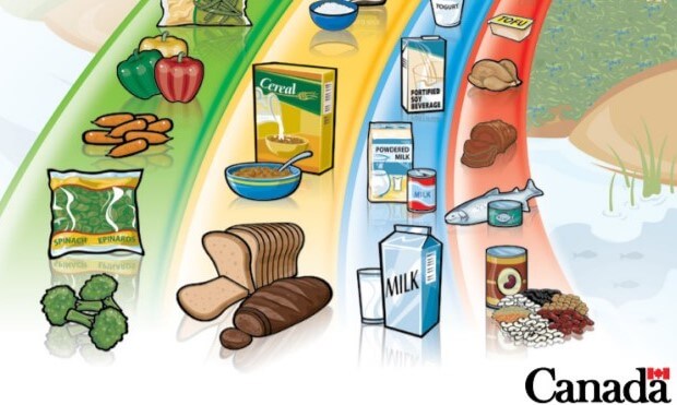 How Canada s Food Guide Impacts Your Active Kids Uplifter